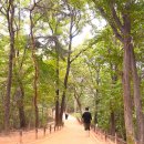 수원-1005 이미지