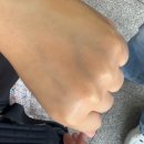 약국전용 선크림!! 자외선 차단만 하는 시대는 끝! 레비온 수분 선크림 사용 후기