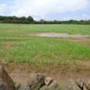 대정읍사무소 이미지