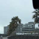 김치찌개킹 엄맛탕 | 제주 파르나스 호텔_신관 프리미어킹 객실, 룸서비스, 수영장