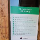 서울금낭화유치원 | 무료로 숲해설 들으며 산림욕하기, 홍릉숲투어 후기