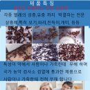 내바퀴 이미지