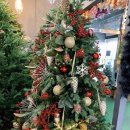 12/6 크리스마스 생화 트리 이미지