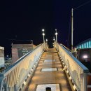 야간 수채화 | 부산 기장 가볼만한곳 연화리 해녀촌 연죽교 야경 야간 드라이브 코스