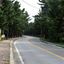 송정해변길 이미지