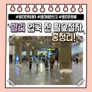 발리 Ep.2｜발리 여행 전 이건 꼭 하고 가세요! ✈️(feat. 전자비자, 세관, 관광사 오류 해결 방법까지 총정리) [출처] 발리 이미지