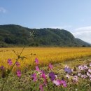 태양여인숙 이미지