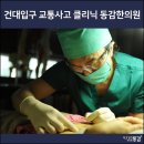 창덕궁한의원 네이버블로그