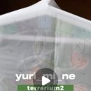 유리미내 이미지