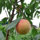 앙성면임대사업소 이미지