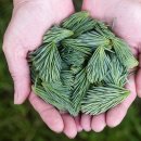 예일음악전문학원 이미지