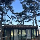 힐링이 되는 비내섬 이미지