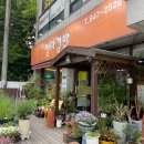생활의달인 김밥 매운 오징어김밥 후기 의정부 오징어김밥 엄마김밥