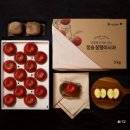 청송꿀땡이사과 후기 🍎 왜 다들 청송 부사 사과 여기서 주문하는지 알겠더라
