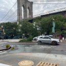 덤보커피 이미지