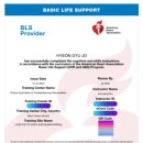 팀크로우 MMA 이미지