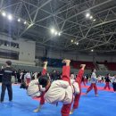 올림픽오스카태권도 이미지