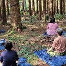 농업회사법인 숲이랑 이미지