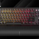 메이저독 | 이제는 선택의 시간! 커세어 K70 PRO TKL MGX vs. 한성컴퓨터 TFG 클라우드 MAX, 두 제품 리뷰 후기