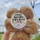 영종도 단체주문 전문 디저트 카페 “도너츠윤 영종점”