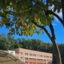 왕남초등학교 | [(성남)왕남초 성교육]2년차 방문!초5학년 남자아이들 성교육 후기😁