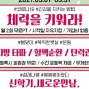 썬에이블 이미지