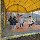 고구려 목장 이미지