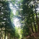 동산어린이공원 화장실 이미지