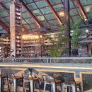 더티트렁크 이미지