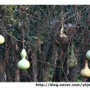 성진농원민박 이미지