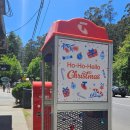 딱따구리문구점 | 멜버른 일기(3) 소규모 투어? 진심후기 - 사사프라스, 펭귄퍼레이드, 퍼핑빌리