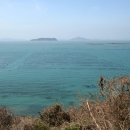 서부해안로 이미지