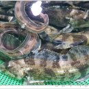 기장월전장어구이 이미지