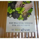대나무 한소반