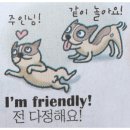 꼬리치는 강아지 이미지