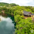 대승춘 이미지