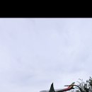 대한빌딩 이미지