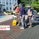 정유주