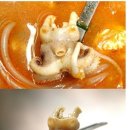 빠라삐리 이미지