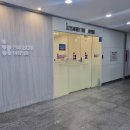더블링 | [시험관 시술 7] 신선배아 이식 후 증상, 피검사 수치 더블링 임신 성공 후기