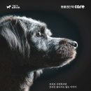 토리프로젝트 이미지