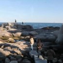 속초자연횟집 이미지