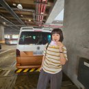 [대만 타이중 반나절 투어 후기] 무지개마을, 가오메이 습지, 궁원안과 알차게 돌아본 코스 추천