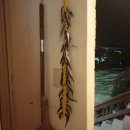 물안개민박 이미지