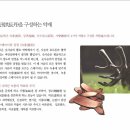 모란경희한의원 이미지