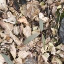 정명농장 이미지