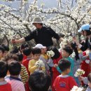 상락유치원 이미지