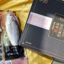 유일침장