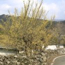 달전시목지 이미지