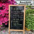 포철꽃농원 | [포항/화훼농원] 포철꽃농원